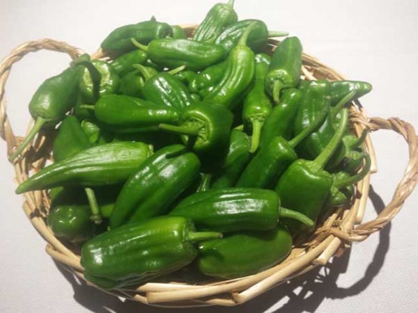 Pimientos verdes de Gernika en el Asador Getaria