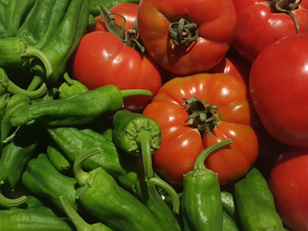 Tomates y pimientos de Gernika